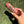 Load image into Gallery viewer, Dragon's Blood with Lavender White Sage Smudge Stick