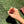 Load image into Gallery viewer, Dragon's Blood with Cinnamon White Sage Smudge Stick
