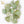 Load image into Gallery viewer, Jade Raw Crystals