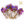 Load image into Gallery viewer, Palo Santo Celosia Sage Smudge Bundle