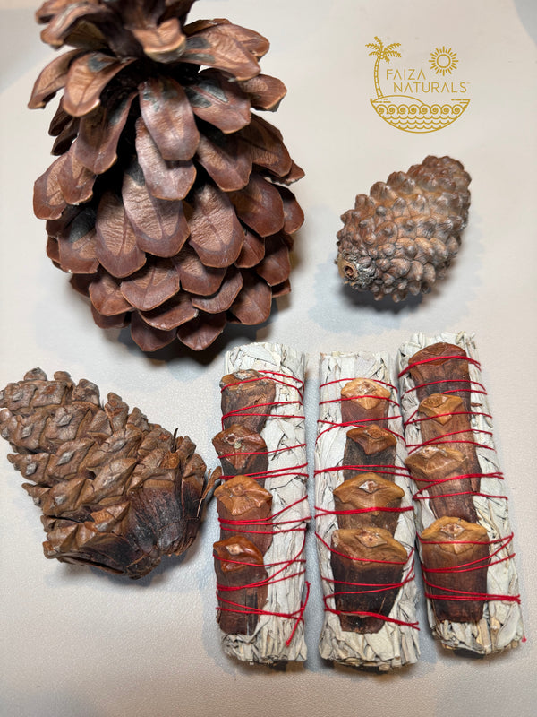 Pine Cone White Sage Bundles (Exclusive Fall Production)
