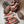 Load image into Gallery viewer, Pine Cone White Sage Bundles (Exclusive Fall Production)