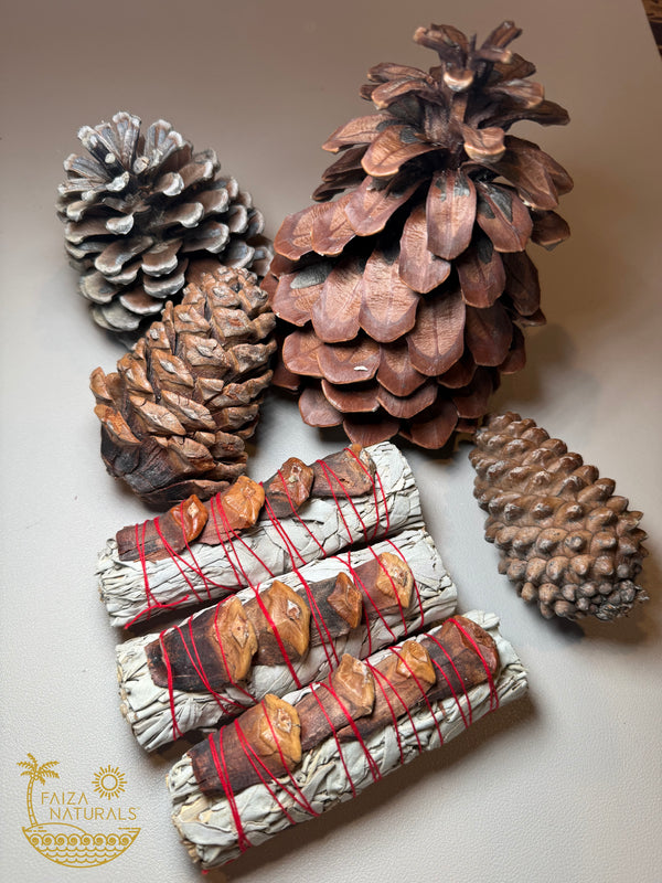 Pine Cone White Sage Bundles (Exclusive Fall Production)