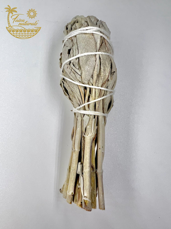 White Sage Smudge Stick Bundle Torch 4 Inches
