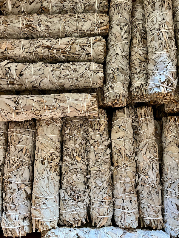 White Sage Smudge Stick Bundles 9 Inches Large