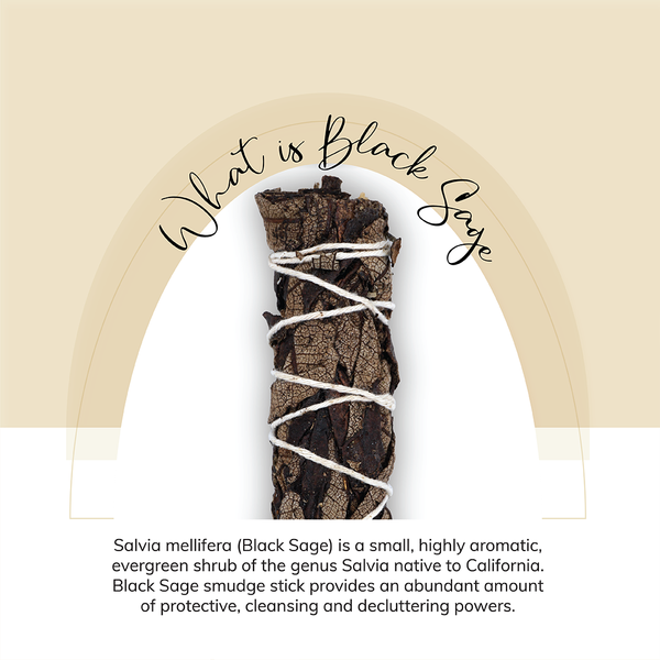 Black Sage Smudge Stick Bundle