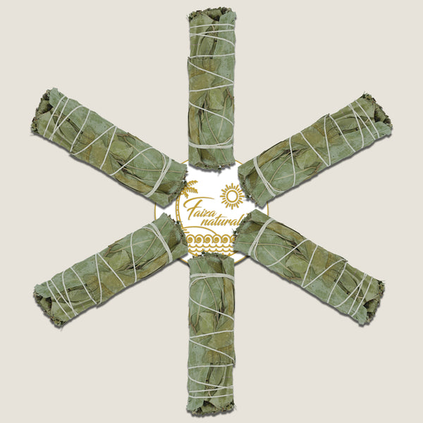Eucalyptus Smudge Stick Bundles