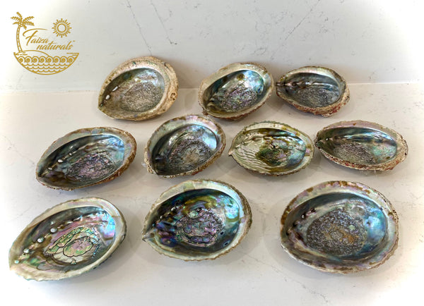 Abalone Shell Smudge Bowls Medium (4-5 inch)