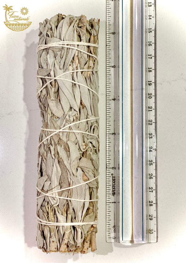 White Sage Smudge Stick Bundles 6 - 7 Inches Medium