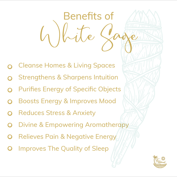 White Sage Smudge Stick Bundles 6 - 7 Inches Medium