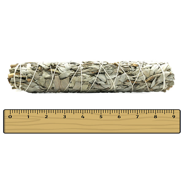 White Sage Smudge Stick Bundles 9 Inches Large