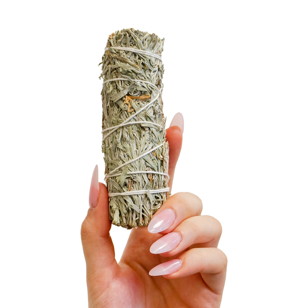 Blue Sage Smudge Stick Bundle