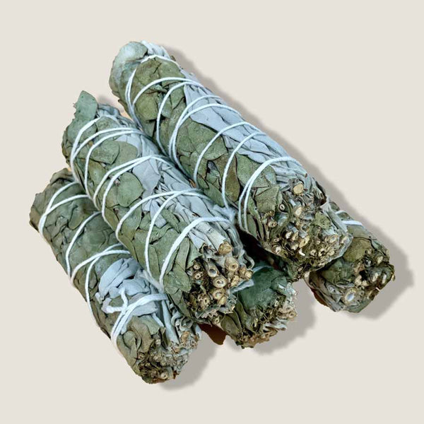 Eucalyptus and White Sage Smudge Sticks Bundle