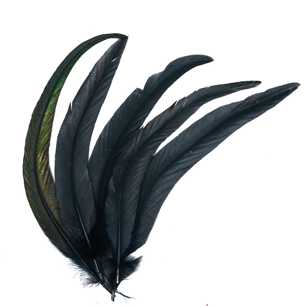 Crow Smudging Feather