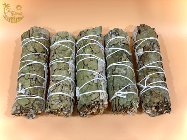 Eucalyptus and White Sage Smudge Sticks Bundle