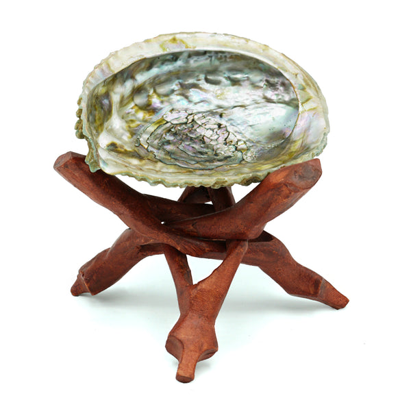 Abalone Shell & Mango Wood Stand