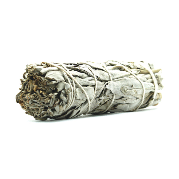 thumbnail image 2 of USDA Organic Blue Sage Smudge Sticks Bulk Lot (4 Sticks) For Energy Cleansing – Fresh Harvest, California 2 of 4